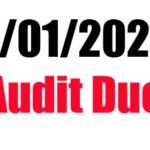 City Mandated Due Dates - Audit Due